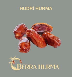 Hudri Hurma
